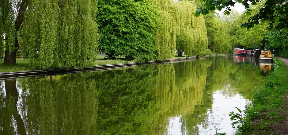 A beautiful view of the Berkhamsted canal, complete with canal boats